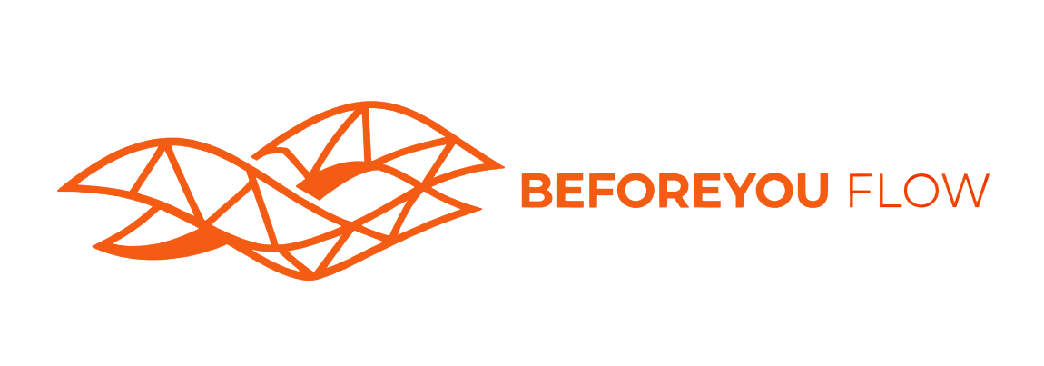 Before you - Flow